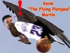platymartin.jpg