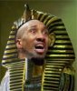 kingtut_skinner.jpg