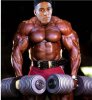 musclesMartin.jpg