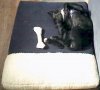 puppy 003.JPG