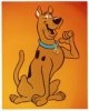 Scooby Doo.jpg