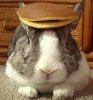 bunnypancake-crop.jpg