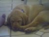 DSC00335.JPG