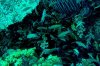 vista mar 031.jpg