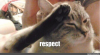 1679870200302.png 1679870200302.png