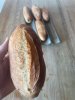 IMG_2426.jpeg
