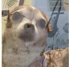 IMG_1324.jpeg