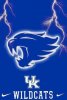 UKWILDCATS.jpg