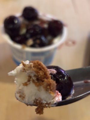 IMG_2676.jpeg IMG_2676.jpeg