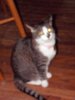 pets 003 Medium Web view.jpg