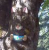 Bird feeder.jpg