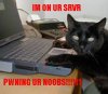 pwnnoobs.jpg
