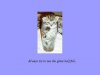 catinglass.jpg