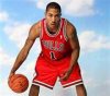 D.ROSE.jpg