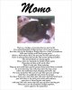 momo.jpg