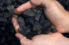 Coal-Hands_1.jpg