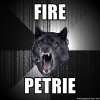 petrie.jpg