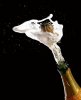 amazing-champagne-popping.jpg