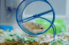 tumblr_m10uwa515p1qk5yn3o1_500.gif