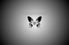 butterfly_effect_chaos_theory_by_anddthen.jpg
