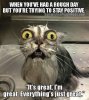 FB_IMG_1479362277187.jpg