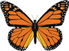 upload_2017-10-28_22-34-9.png