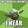 Crickets.jpg