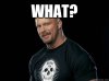 Austin WWE.jpg