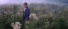 vlcsnap-2016-07-29-10h06m11s187.png