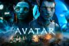 Avatar.jpg