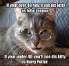 If-Your-40-You-Will-See-Dis-Kitty-As-Harry-Potter-Funny-Meme-Image.jpg