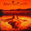 Dirt_(Alice_in_Chains_album_-_cover_art).jpg