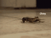 67946BD7-67CA-4E69-BDE2-906D8C72F332.gif