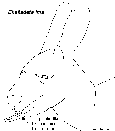 Ekaltadeta_bw.GIF