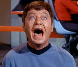 Bones-leonard-bones-mccoy-18368987-300-259.jpg