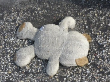 squashedteddybear2.jpg