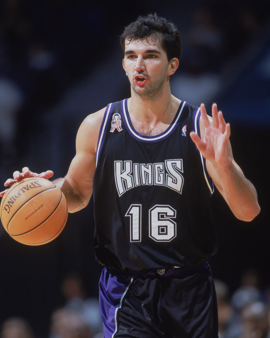 peja_stojakovic_2.jpg