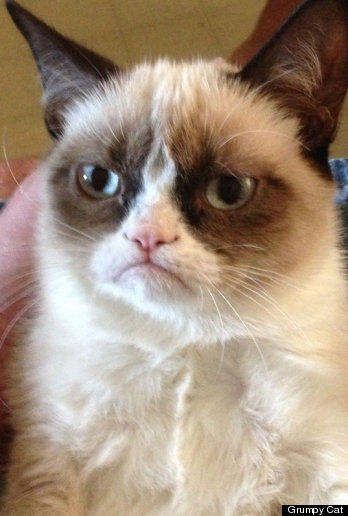 h-GRUMPY-CAT-348x516.jpg