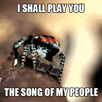 tumblr_lsogs20yVQ1qf2jixo1_400.gif