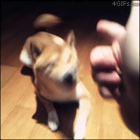 tumblr_m67ohudDNE1qdlh1io1_400.gif