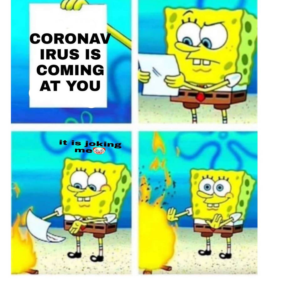 52835518.jpg