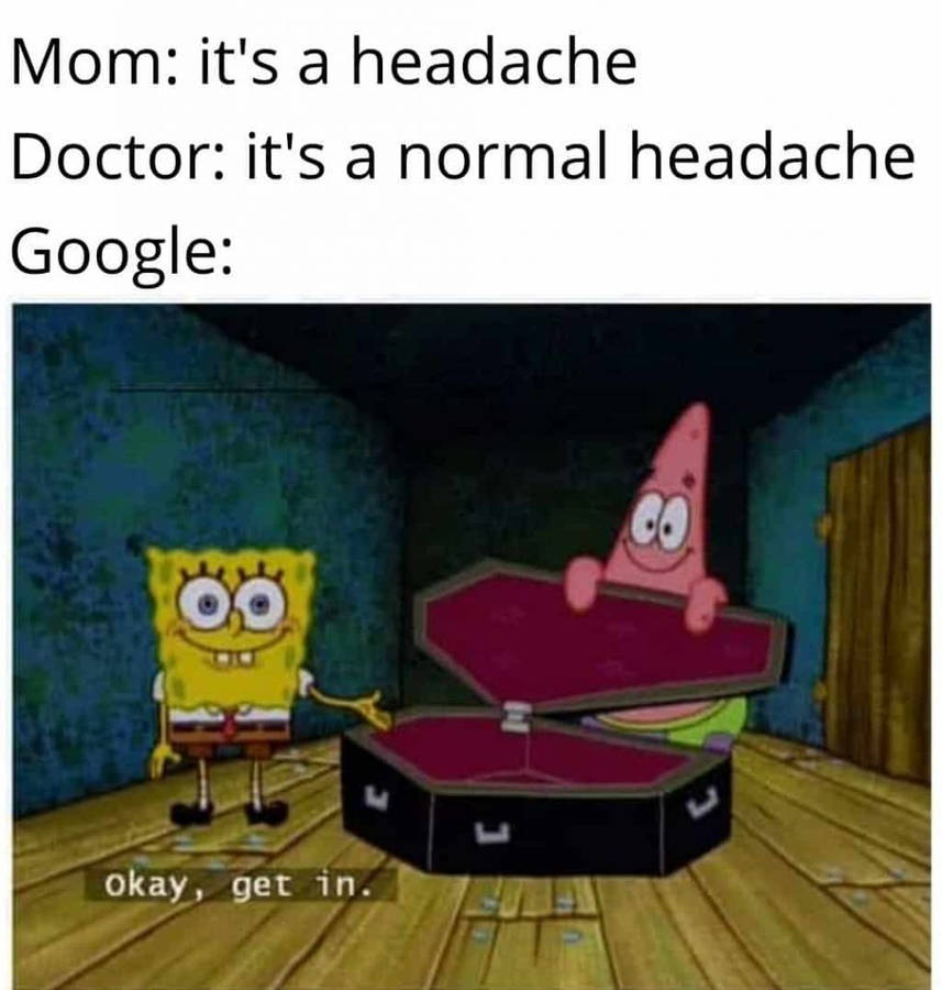 53257296.jpg