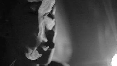tumblr_ognbs2Xfw81uyxrwoo1_400.gif