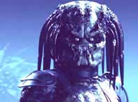predator5.jpg