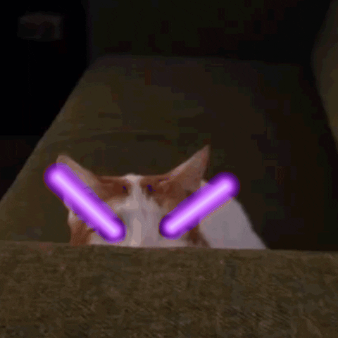 lasercat_purple.gif