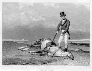 beat_dead_horse.gif