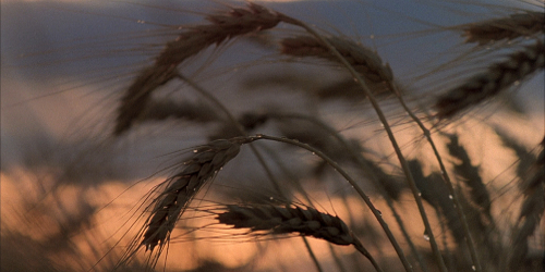 Days-006.jpg