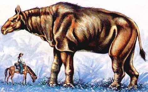 baluchitherium.jpg