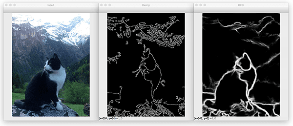 holistically_nested_edge_detection_cat.png