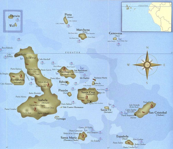 Galapagos-Islands-Tourist-Map.mediumthumb.jpg